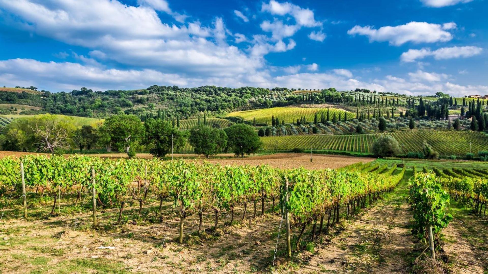 Terre Gialle - La Val D'Orcia Nascosta Castel del Piano  Εξωτερικό φωτογραφία