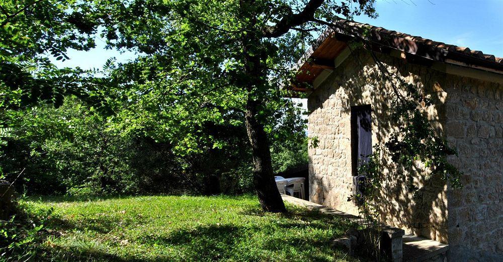Terre Gialle - La Val D'Orcia Nascosta Castel del Piano  Εξωτερικό φωτογραφία