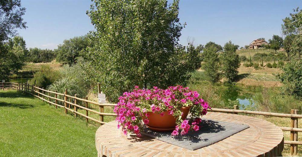 Terre Gialle - La Val D'Orcia Nascosta Castel del Piano  Εξωτερικό φωτογραφία